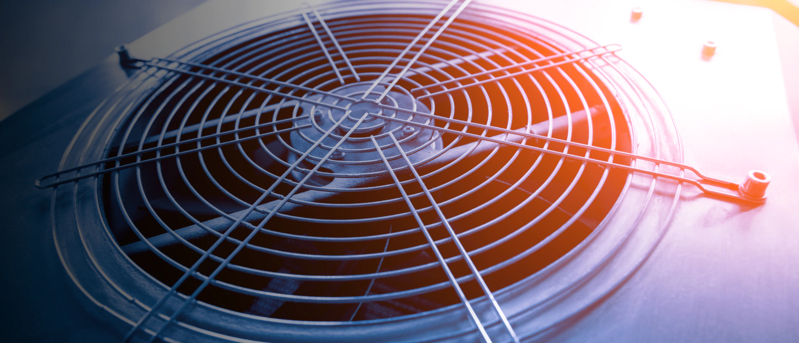 Texas Local Air hero 3